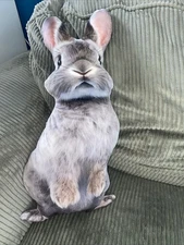 Realistic Rabbit Decorative Pillow Plush Stuffed Animal Soft