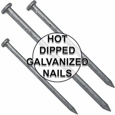 Exterior Hot Dipped Galvanized Common Framing Nail