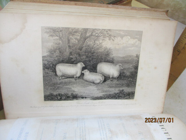 Picture 6 of 6