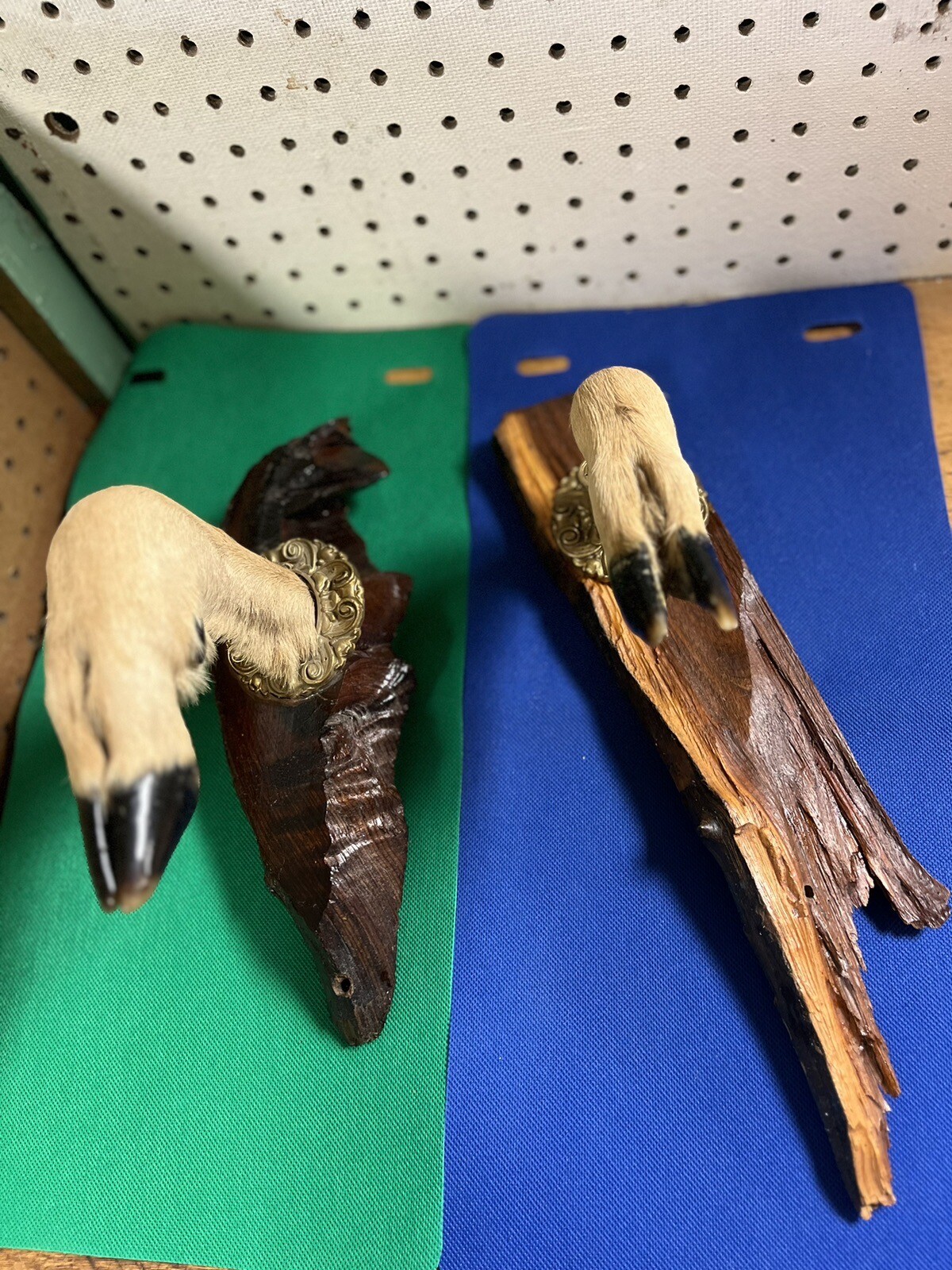 Vintage Whitetail Taxidermy Deer Hoof Gun Rack on Wood Plaques Gunrack