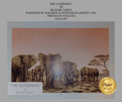 DIE SAMMLUNG'''' VON RICHARD ALBON. VERÖFFENTLICHT VON SOLOMON & WHITEHEAD LIMITED 1998 
