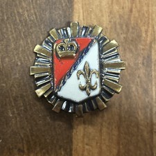 Antique French Enamel Fleur De Lis Crown and Shield Pin