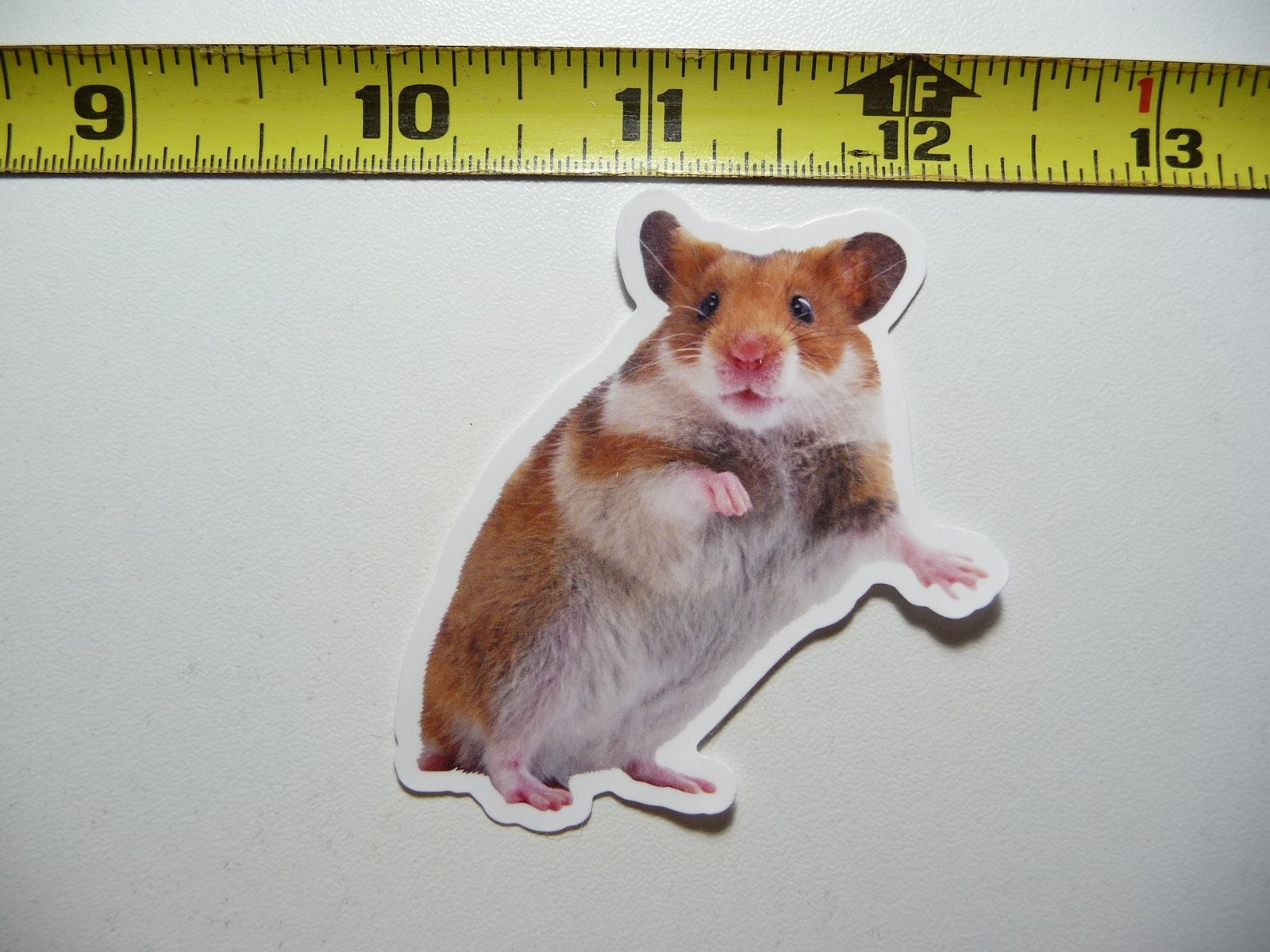 PET GOLDEN HAMSTER STICKER DECAL WILDLIFE PRESERVE NATURE ANIMAL