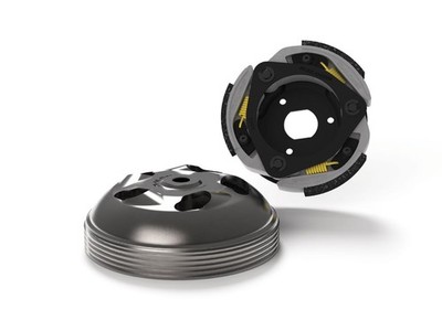 Kupplungs-Set -MALOSSI Maxi Delta Clutch System Ø 135mm- HONDA Foresight, Forza,