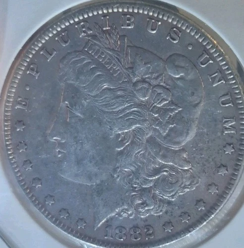 1882-P Morgan Silver Dollar NO RESERVE High Bid Wins Private~Collection #1931