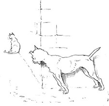 Mural de azulejo con acento de gato y perro cocina baño pared salpicadero mármol cerámica