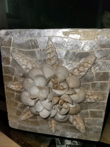 Artist Hand Made Seashell Tissue Holder W Bonus Ocean Wave Decoration - Picture 10 of 11