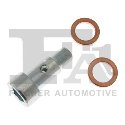 FA1 989-10-005.021 Hohlschraube, Lader For CitroËN Ford Peugeot-image