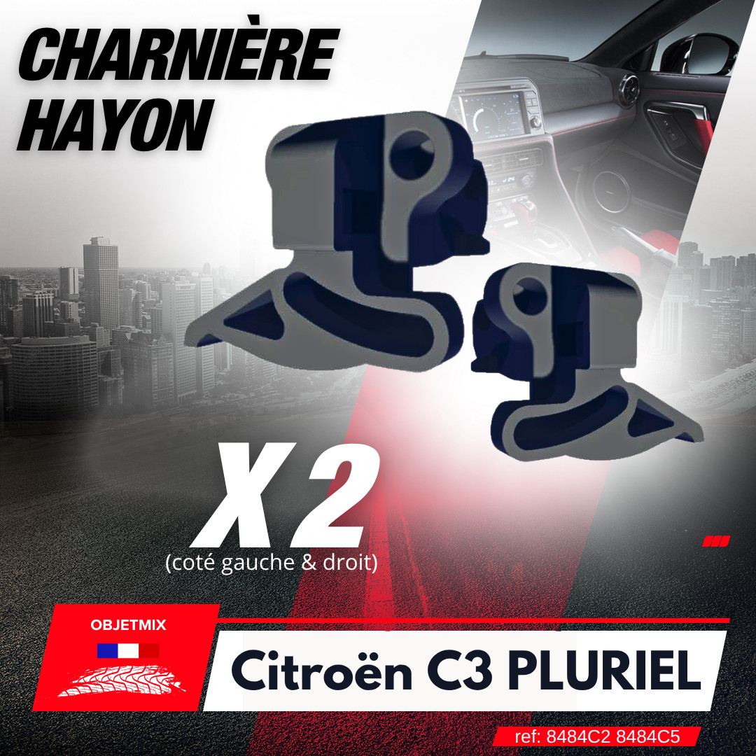 Charnières de hayon pour corriger le blocage de coffre C3 Pluriel