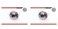 Esen SKV 2X Radnabe Radlagersatz Hinten FüR Opel Vectra C Caravan Saab 9-3 Z02