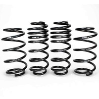 H&R 35Mm Tieferlegungsfedern FüR Vw Golf Vi Jetta Iv Achslast Vorne Ab 981 - 102