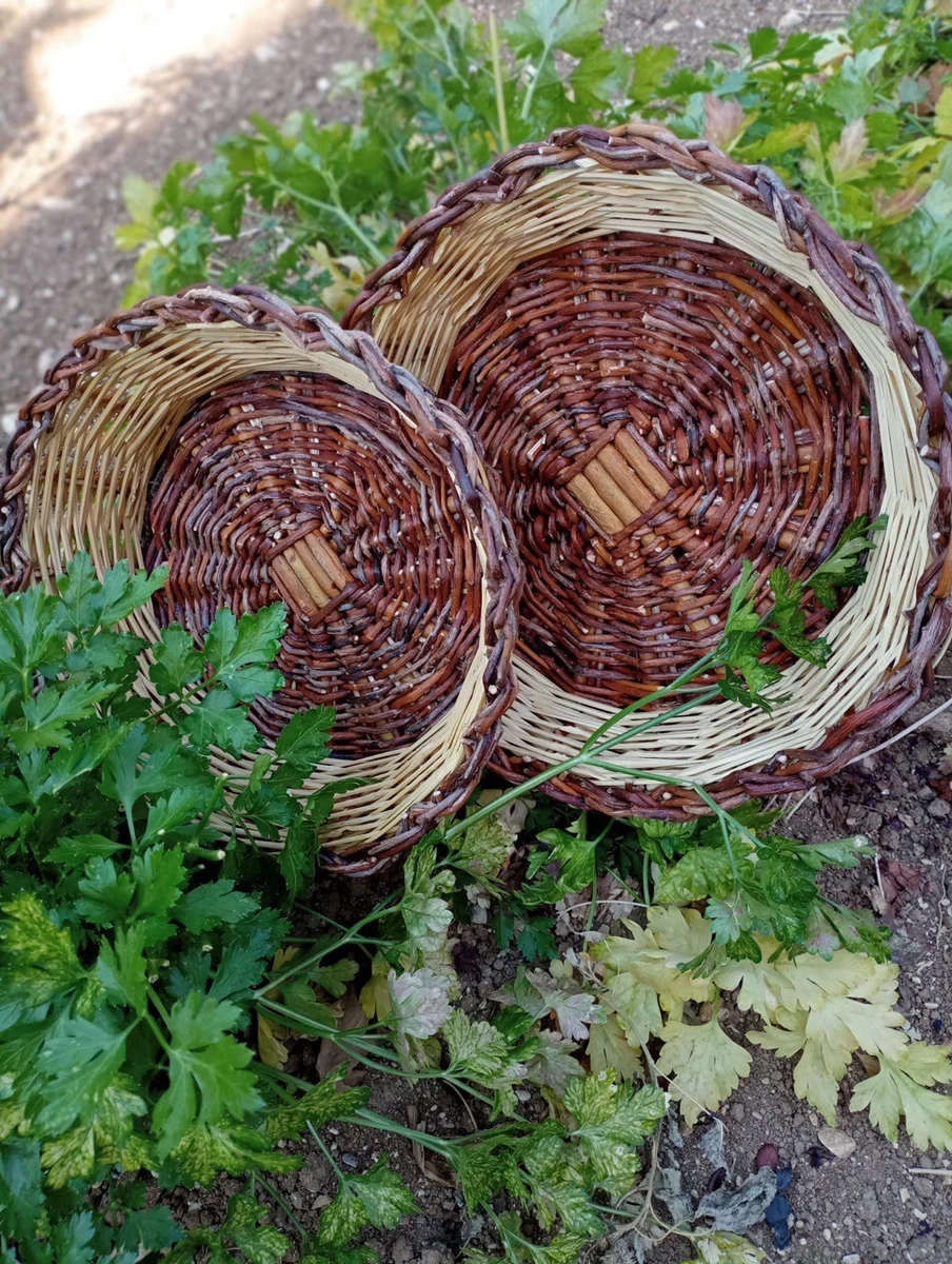 Set Cestini a Ceste per la decorazione della casa | Acquisti Online su