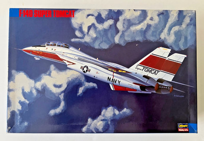 Grumman F-14D SUPER TOMCAT  US NAVY fighter  a 1/72 scale plastic model Hasegawa