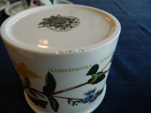 Portmeirion "The Botanic Garden" Teacup & Saucer 1972 England "Speedwell" 10-2 - 第 9/11 張圖片