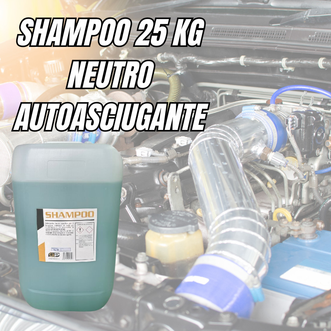 25 KG SHAMPOO NEUTRO AUTOASCIUGANTE PER LAVAGGIO AUTO CAMPER CAMION MOTO ROULETT