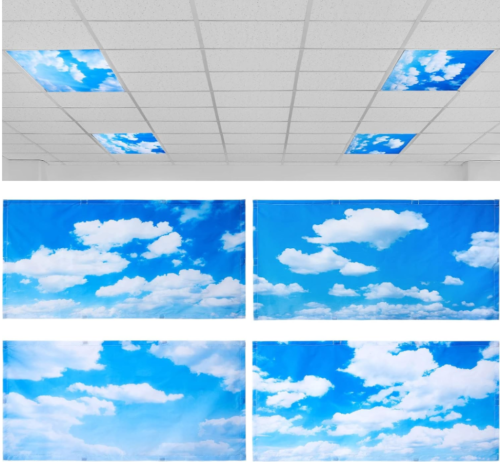 4 Pcs 4 x 2 Feet Fluorescent Light Covers for Ceiling Lights Classroom Office...