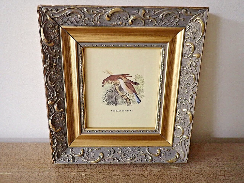 The White - Wnged Crossbill and Red-Backed Shrike Prints - Image 3 of 3