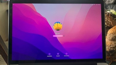 Display für Apple MacBook Pro silber
