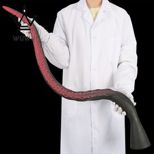 Tentacle Dildo Anus Dilator Sex Toys 5 Sizes Anal Dildo Butt Plug Suction Cup