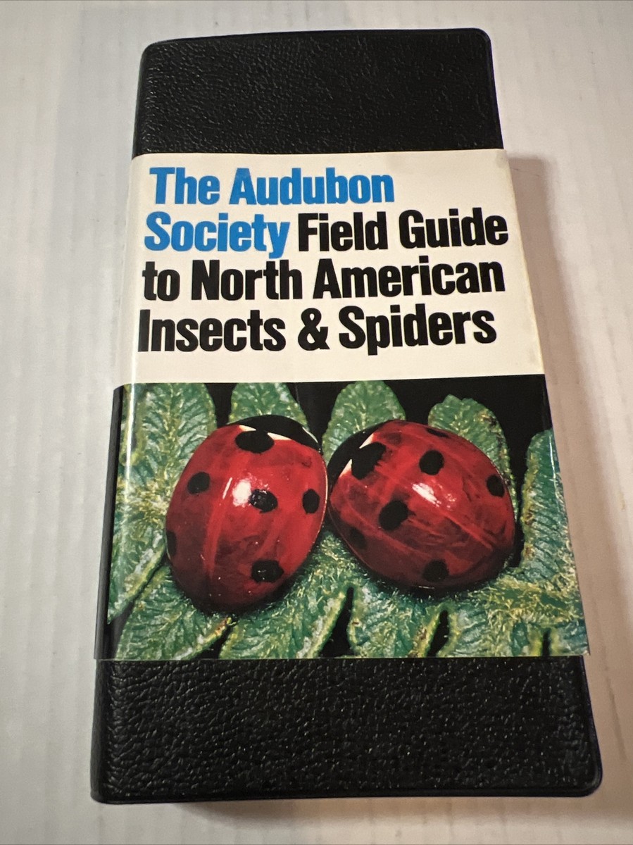 National Audubon Society Field Guide to Insects Spiders North