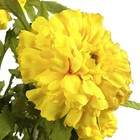 Bild 5 von 5