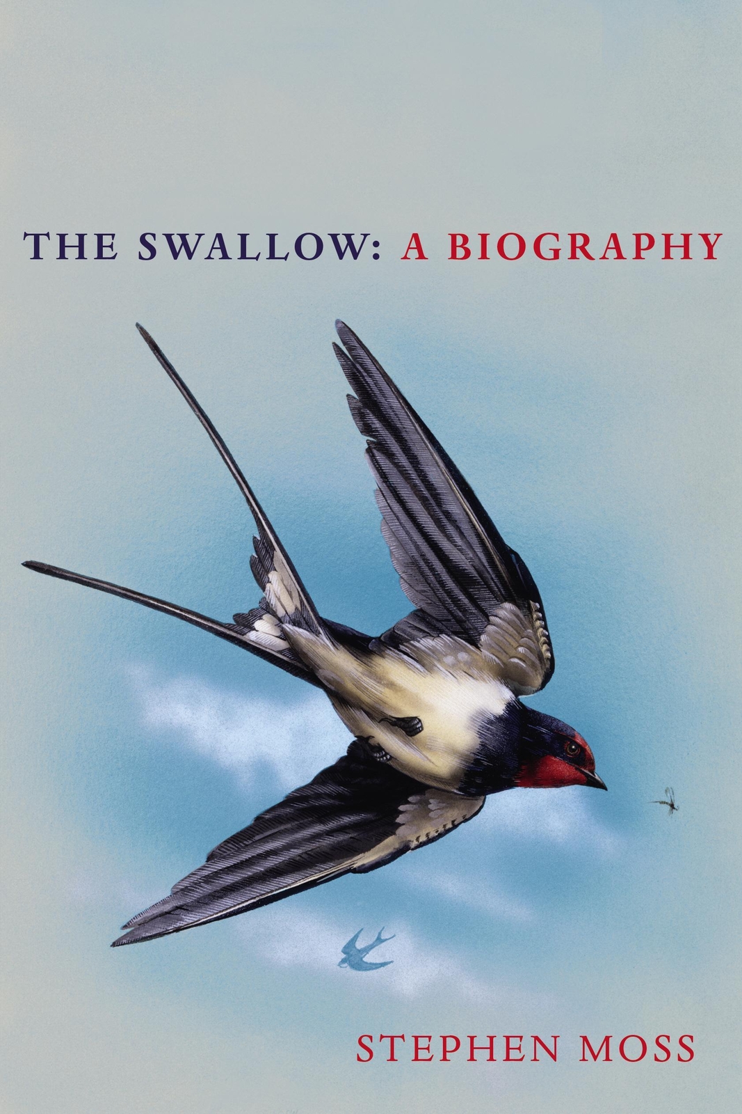 Thumbnail - Stephen Moss | The Swallow | Buch | Englisch (2020) | 208 S. | Ean