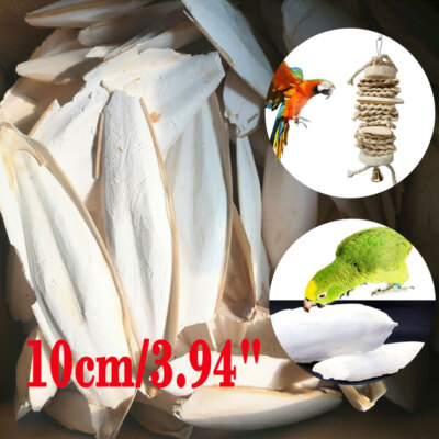 10/20PCS 3.94'' Cuttlebone Cuttlefish Bone Sepia/Cuttle/Fish/Bird Food Calcium