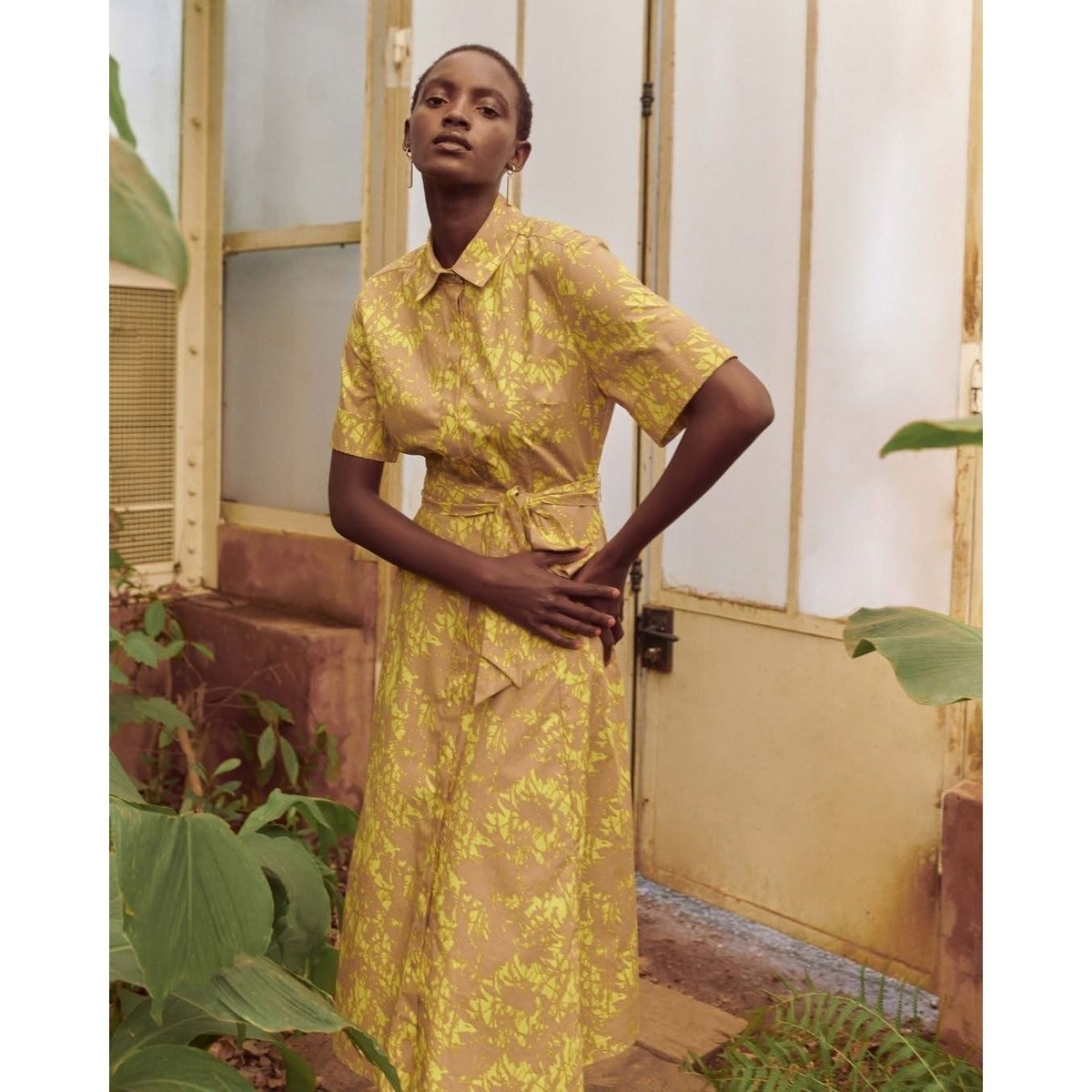 Poetry 12 The Shea Fit And Flare Midi Dress Yellow Tan Shirt Dress 100%  Cotton | eBay