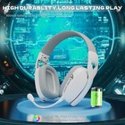 Afbeelding 17 van 19