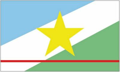 Flagge / Fahne Brasilien - Roraima Hissflagge 90 x 150 cm