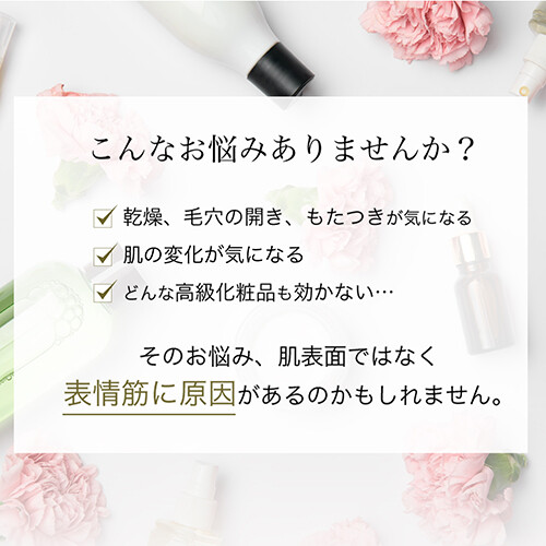 YA-MAN EP-30B Point Lift Face Beauty Treatment Device YA-MAN EP-30B Point Lift Face Beauty Treatment Device