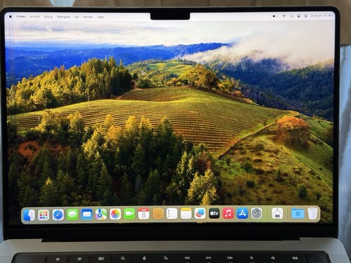 Apple MacBook Pro 14” (M1 Pro, 32GB RAM, 1000GB SSD) – Space Grey - Afbeelding 3 van 11