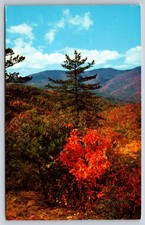 Postcard Blue Ridge Parkway Scene Buck Creek Gap Wilderness North Carolina UNP