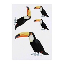 4 x 'Toucan' Temporary Tattoos / Transfers TO00015829 