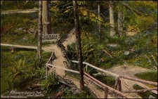 Schmitz Park Trail, West Seattle WA Washington Postcard photo by Nowell & Rognon
