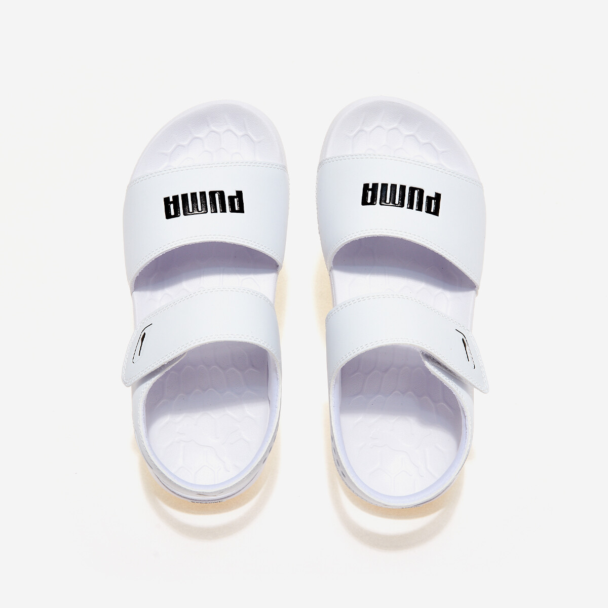 スニーカー PUMA Soft Ride Sandals Pure PKI38908302 PUMA Softride Sandal Pure Puma White-Puma Black 38908302 Men