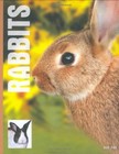 Rabbits | eBay