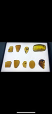 Lot of 9 Polished Fluorescent Amber, Glow Under UV