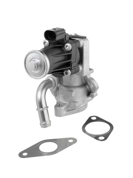 BorgWarner (Wahler) 712017D Agr-Ventil FüR Ford-image