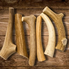 6 Pack | Medium Deer Antler Dog Chews
