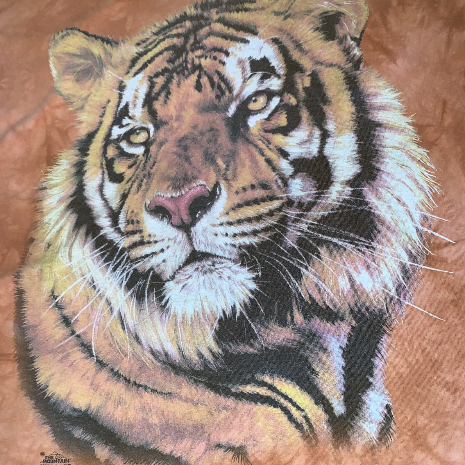 ALTRA Tiger The Mountain (marca) Camicia arancione 2000 tinta unita 2XL