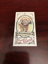 2019 Topps Allen & Ginter Collectible Canines Mini #CC-20 Bullmastiff *Mint*