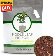 Fiddle Leaf Fig Soil by  8QTS, Premium Professional Blend for All Fiddle Leaf Fi