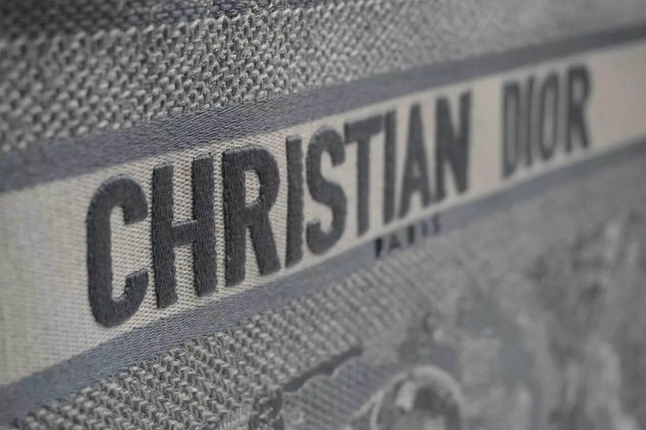 AUTH Christian Dior Book Tote Bag M932 Medium Toile 2022 Logo Broderie Taille M