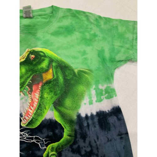 Dinosaur T-Shirt Boys Green Tie Dye Lightning Jerry Lofaro Crew Tee Size M - Picture 6 of 9
