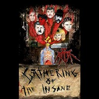 Jt Ripper - Gathering Of The Insane - Vinyl Record - 45 - F72Z