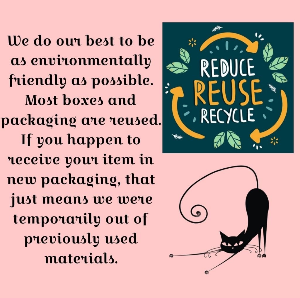 Starfish Stapelia Gigantea Plant Zulu Giant Succulent Cactus Carrion Flower