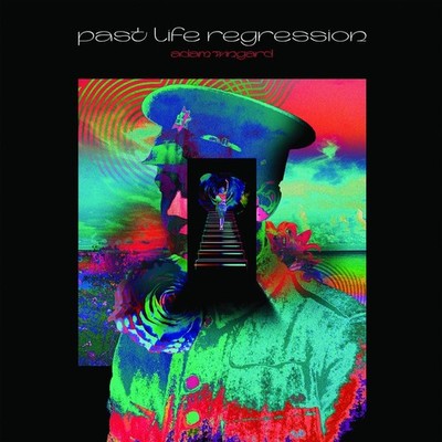 ADAM WINGARD Past Life Regression (Vinyl) 12'' Album