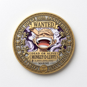 One Piece Coin | eBay