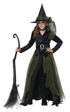 Cool Witch Wicked Oz Child Costume